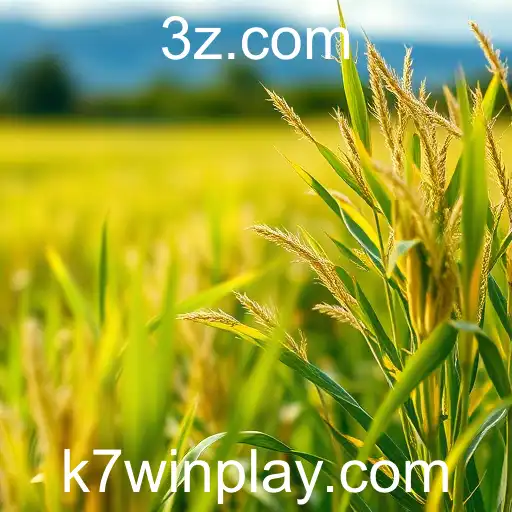 A Ascensão da K7win no Mercado de Apostas Online
